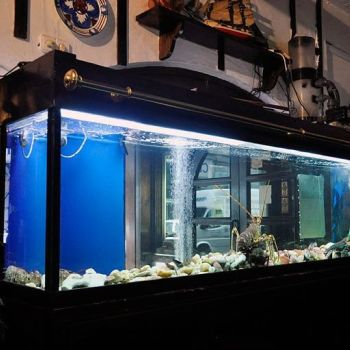 Restaurante Pedro Olivar (Valladolid) 01