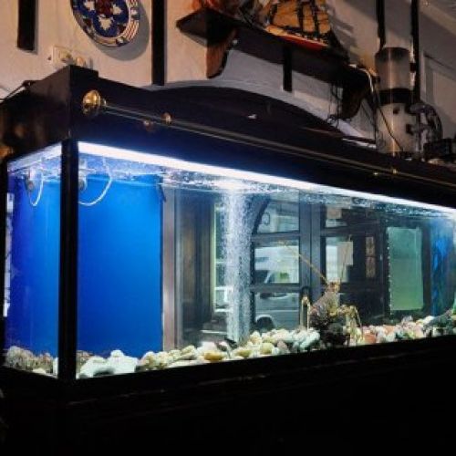 Restaurante Pedro Olivar (Valladolid) 01