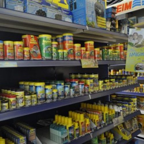 Alimento para peces y tortugas