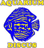 AQUARIUM DISCUS